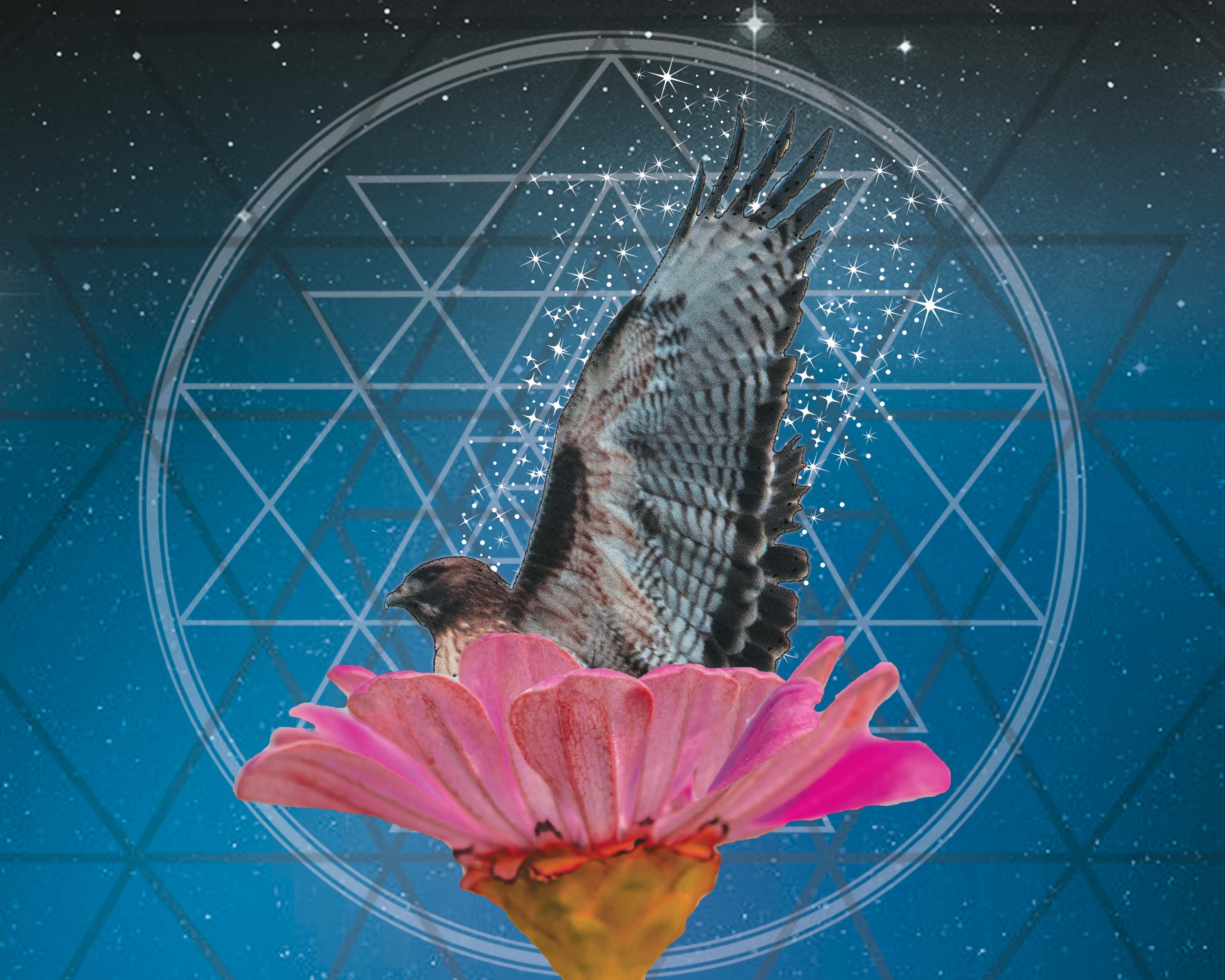 Stylized hawk and flower composite artwork